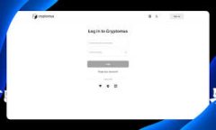 如何应对TP钱包丢币问题：使用技巧与安全策略