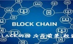 探索虚拟币BLACK的潜力与前景：投资者必看指南