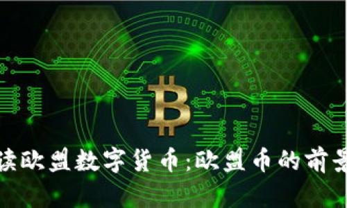 深入解读欧盟数字货币：欧盟币的前景与影响