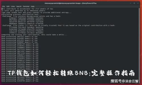 TP钱包如何轻松转账BNB：完整操作指南