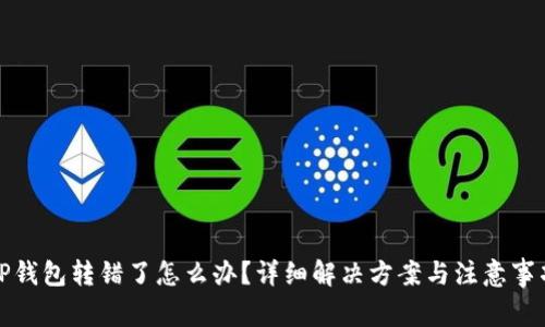 TP钱包转错了怎么办？详细解决方案与注意事项