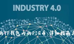 如何找回丢失的TP钱包内的PIG币：详细指南与常见