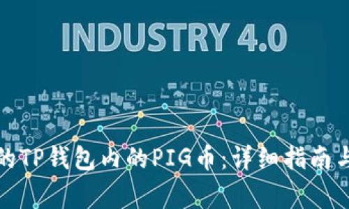 如何找回丢失的TP钱包内的PIG币：详细指南与常见解决方案