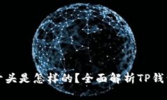 TP钱包地址开头是怎样的？全面解析TP钱包和地址