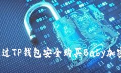 如何通过TP钱包安全购买Baby加密货币？