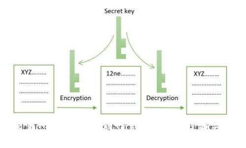 如何将交易所的币提币到TP钱包？详尽步骤与注意事项