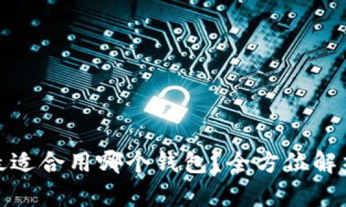 TP项目最适合用哪个钱包？全方位解析与建议