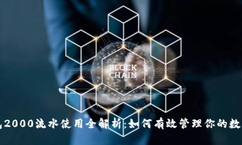 TP钱包2000流水使用全解析：如何有效管理你的数字资产
