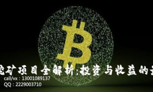 TP钱包挖矿项目全解析：投资与收益的最佳选择