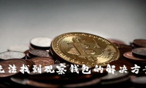 TP钱包无法找到观察钱包的解决方案与指南