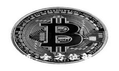 TP钱包1.2.5版：全方位解读与使用指南