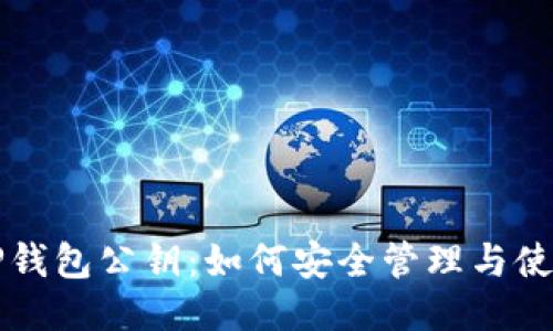 TP钱包公钥：如何安全管理与使用
