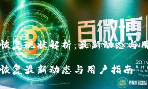 TP钱包恢复现状解析：最新动态与用户指南

TP钱包恢复最新动态与用户指南