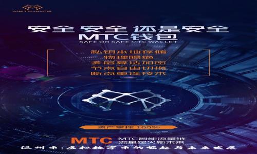 温州币：虚拟数字币的崛起与未来发展