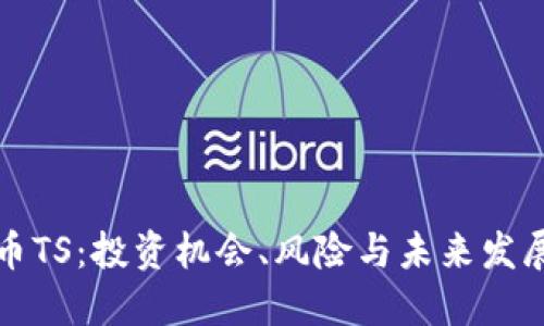 虚拟币TS：投资机会、风险与未来发展趋势
