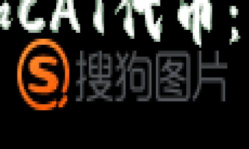 如何在TP钱包中添加CAT代币:详细步骤与注意事项