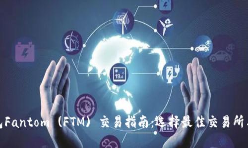 TP钱包Fantom (FTM) 交易指南：选择最佳交易所与策略