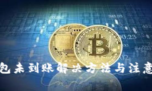 TP钱包未到账解决方法与注意事项
