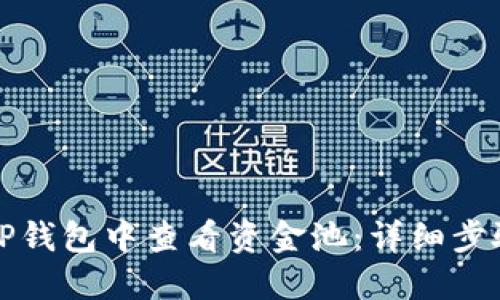 如何在TP钱包中查看资金池：详细步骤与技巧