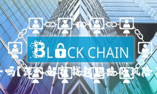 TP钱包安全吗？深入解析钱包跑路的风险及防范措施