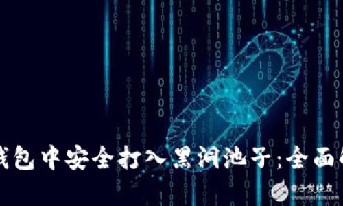 如何在TP钱包中安全打入黑洞池子：全面解析与技巧