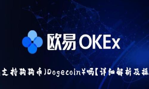 TP钱包支持狗狗币（Dogecoin）吗？详细解析及操作指南