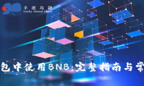 如何在TP钱包中使用BNB：完整指南与常见问题解答