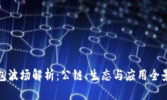 TP钱包波场解析：公链、生态与应用全景揭秘