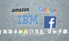 如何将狗狗币提到TP钱包：详细步骤与指南