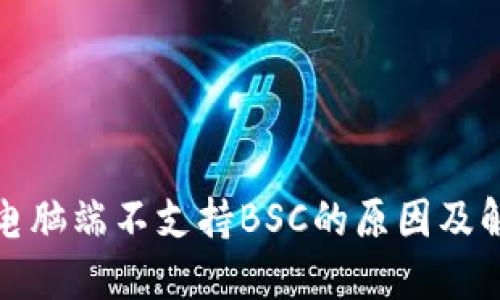 TP钱包电脑端不支持BSC的原因及解决方案