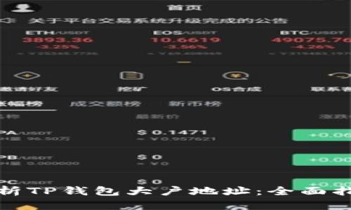 如何查找与分析TP钱包大户地址：全面指导和实用技巧