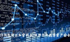 TP钱包转出加密指南：保障您的数字资产安全