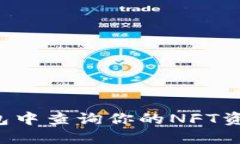 如何在TP钱包中查询你的NFT资产？详细指南