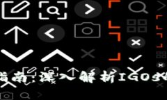 虚拟币投资指南：深入解析IGOs的潜力与风险