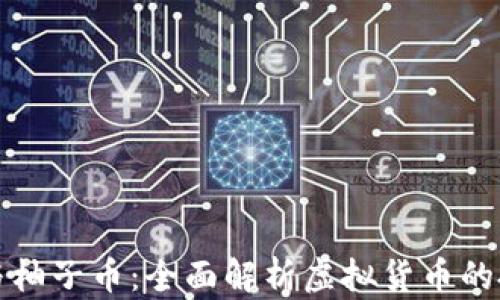 
比特币与柚子币：全面解析虚拟货币的投资价值