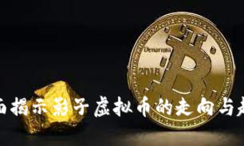 全面揭示影子虚拟币的走向与趋势
