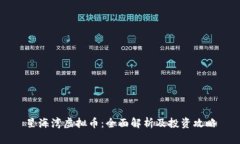 星海湾虚拟币：全面解析及投资攻略