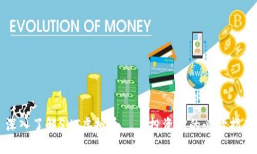 深入了解SUT虚拟币——投资前的必读指南