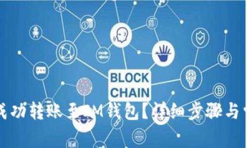 TP钱包如何成功转账至IM钱包？详细步骤与常见问题解析