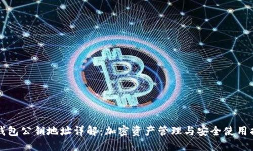 TP钱包公钥地址详解：加密资产管理与安全使用指南