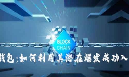 TP钱包：如何利用其潜在爆发成功入场？