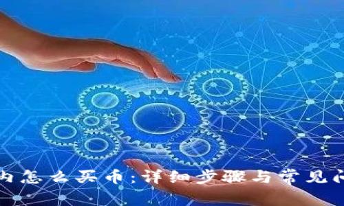 TP钱包内怎么买币：详细步骤与常见问题解答