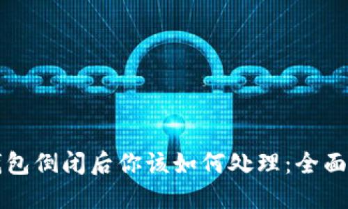 TP钱包倒闭后你该如何处理：全面指南