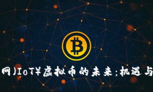 物联网（IoT）虚拟币的未来：机遇与挑战